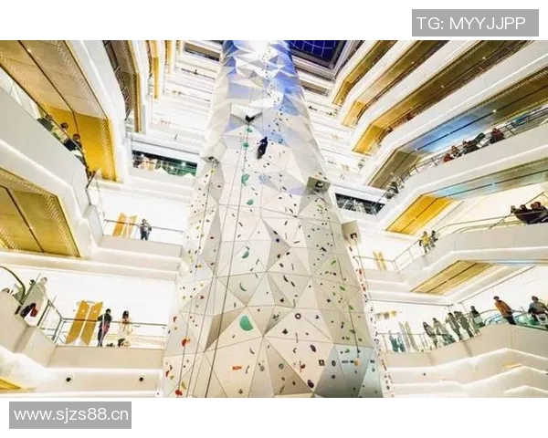 奥运会项目中新兴小项的观赏性与商业前景研究